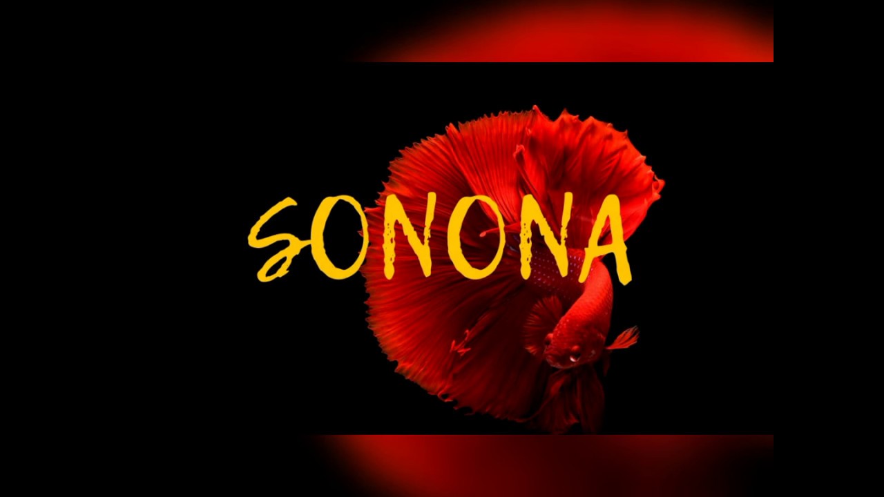 Susumila Ft Mbosso "Sonona " (Instrumental remake) 2020