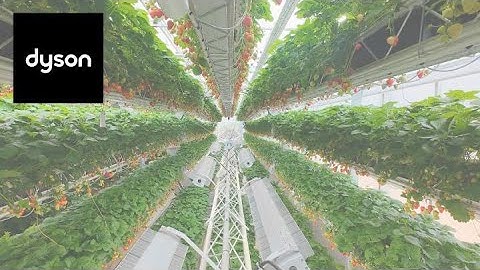 James Dyson reveals the future of farming