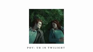 POV: ur in Twilight