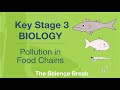 Understanding Pollution in Food Chains