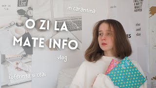 SUFAR la mate info / A DAY IN MY LIFE, vlog in carantina la liceu pe profil real, o zi productiva