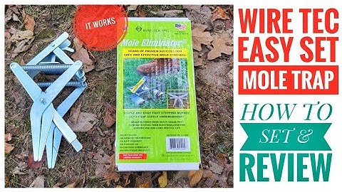 REVIEW Wire Tek 1001 EasySet Mole Eliminator Trap HOW TO SET