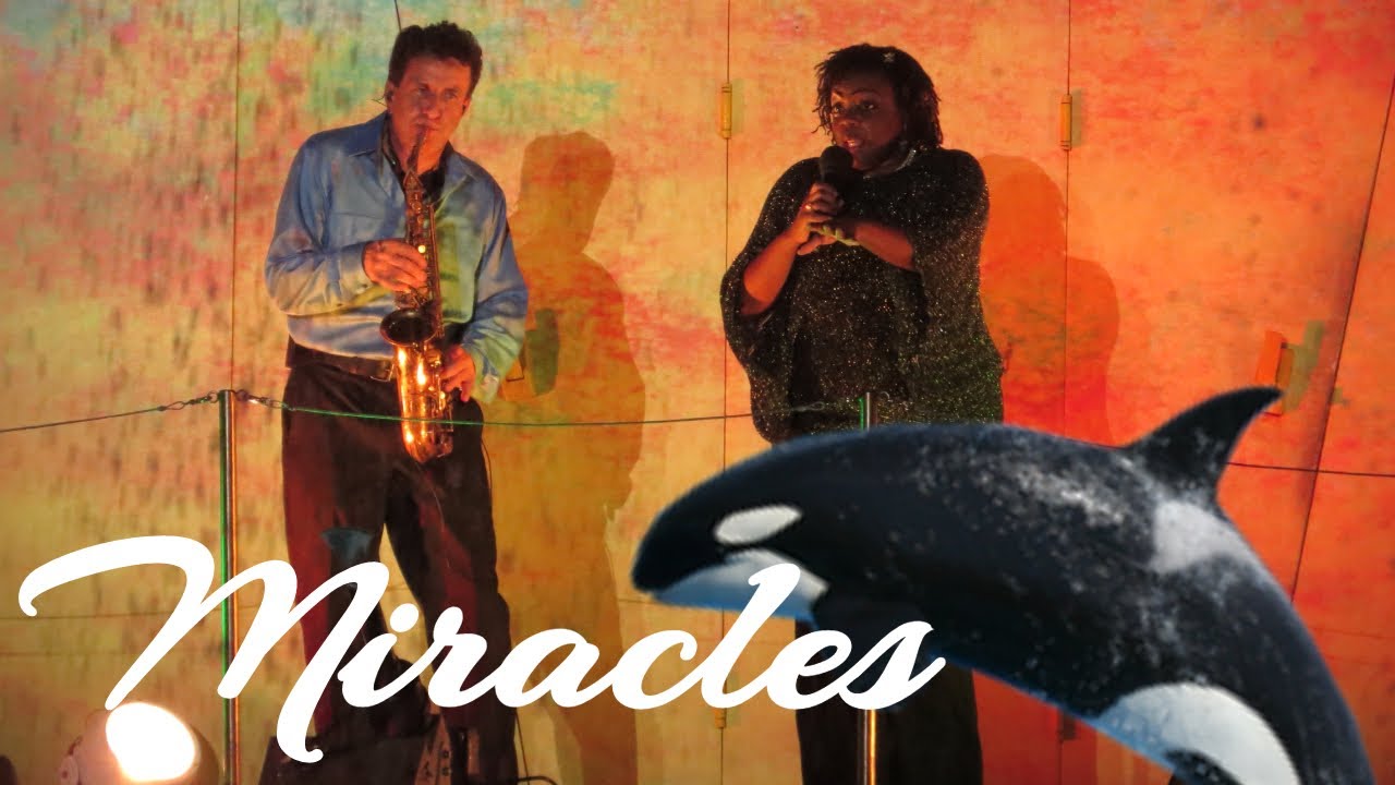 Shamu christmas miracles 2025