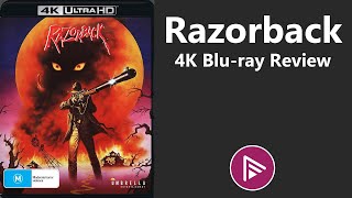 💿 Razorback 4K Blu ray Review