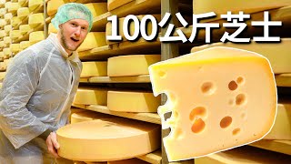 [ENG中文 SUB] From COW to CHEESE  CHEESEMAKING in Austria