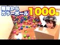 階段からカラーボール1000個落としてみたら大惨事！surprise color ball