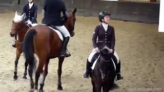 ЖИТЬ В КАЙФ — EQUESTRIAN SPORT