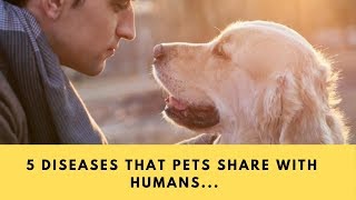5 Diseases That Pets Share With Humans