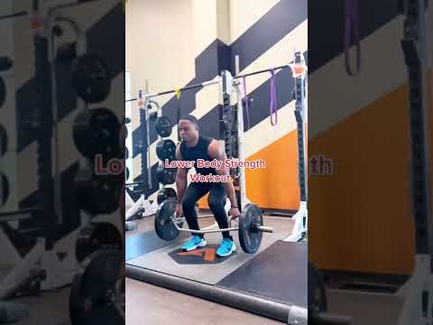 Increase Your Vertical