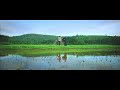 Whatsapp status video | Basheerinte Premalekhanam | Farhan Fasil | Sana Althaf Whatsapp Status Video Download Free