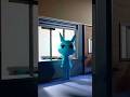 Animal Hospital at 3 AM (POV) #3danimation