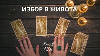 🧿Предстои 🪬Ви важен избор в живота! Всичко зависи от Вас , кариера и финанси!!! #онлайнрасклад #таро