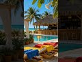 Positive Energy Morning Vibe | Happy &amp; Motivating Music to Start Your Day