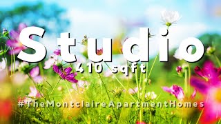 Studio | The Montclaire Apartment in Sunnyvale, CA