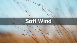 Soft Wind • Weather • Sounds Effects (No Copyright Sounds) screenshot 5