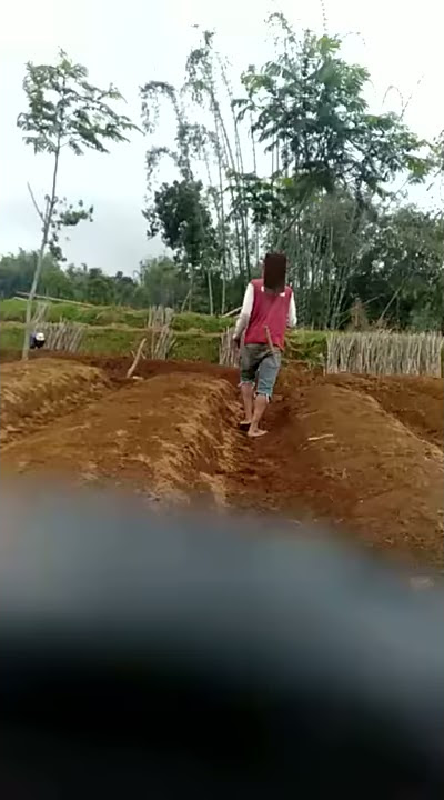 Joget pak tani