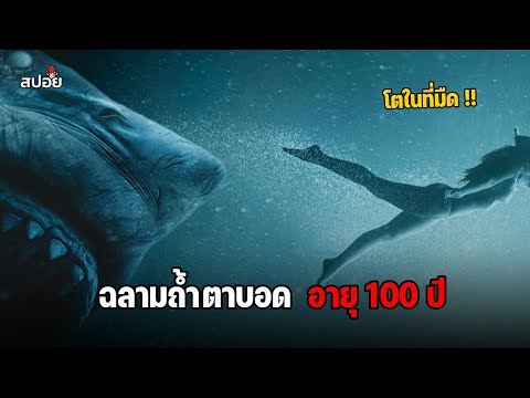 เมื่อต้องเอาชีวิตรอดจากฉลามถ้ำตาบอดอายุ 100 ปี (สปอยหนัง) 47 Meters Down : Uncaged