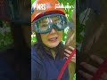 Kara David, matapang na umakyat ng puno para manguha ng wild honey! #shorts | Pinas Sarap