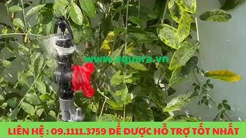 Thi công hệ thống tưới cây sân vườn tự động tại Bà Rịa - Vũng Tàu #shorts