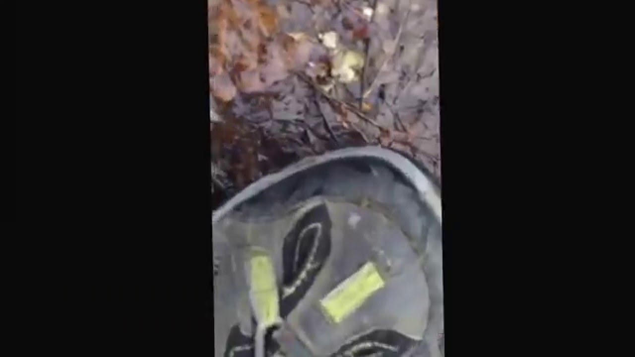 Caught River EEL on Pearl River with Liver. Fishing with the Wage Rage