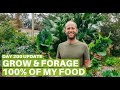 Growing and Foraging 100% of My Food - Day 200 Update