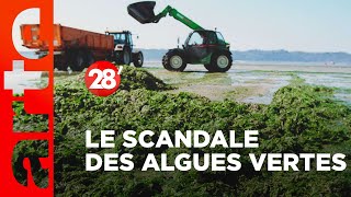 En Bretagne, omerta sur les algues vertes | Pierre Jolivet - 28 minutes - ARTE