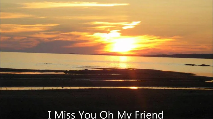 Bruce Shisheesh: I Miss You Oh My Friend