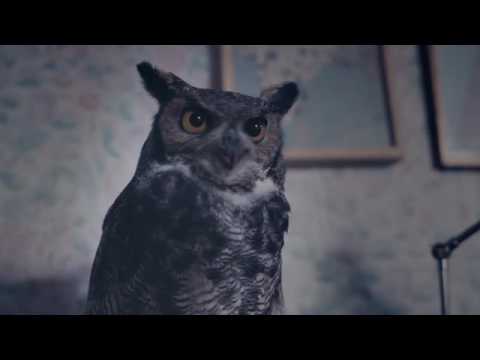"Voz de la Buhonciencia - Plazo Fijo" - Banco Hipotecario - Leo Burnett Argentina