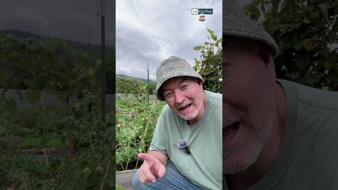 You Don’t Need $20K to Build a Tiny Home