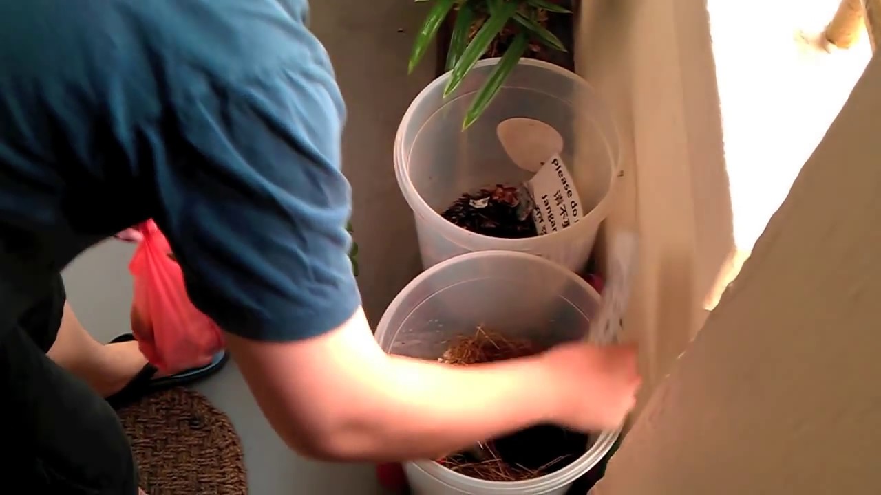 Using Our DIY Apartment Compost Bin - YouTube