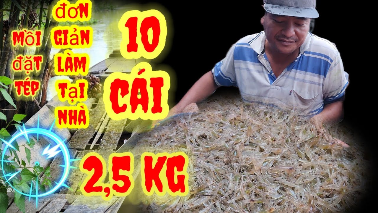 MỒI ĐẶT LỢP TÉP ÐƠN GIÃN LÀM TẠI NHÀ HIỆU QUẢ NHẤT /#SĂNBẮTCÁIBÈ