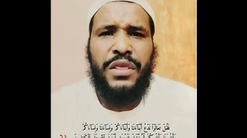 محمد عثمان علي حاج || ماتيسر من سورة آل عمران