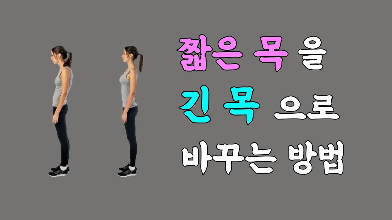 [마름모코어 시즌 1-270] 긴 목 만들기 / 갈비뼈와 분리된 경추를 갈비뼈와 연결해 바로 세우기 / 들어올리는 갈비뼈로 긴 목 만들기