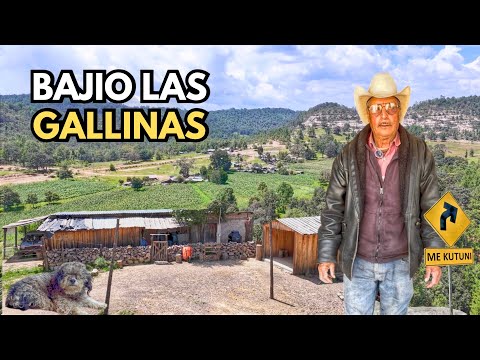 Hace 16 AÑOS Quedé SOLO y Así le he BATALLADO
