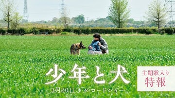 【主題歌 SEKAI NO OWARI「琥珀」】映画『少年と犬』主題歌入り特報映像【3月20日(木・祝)公開】