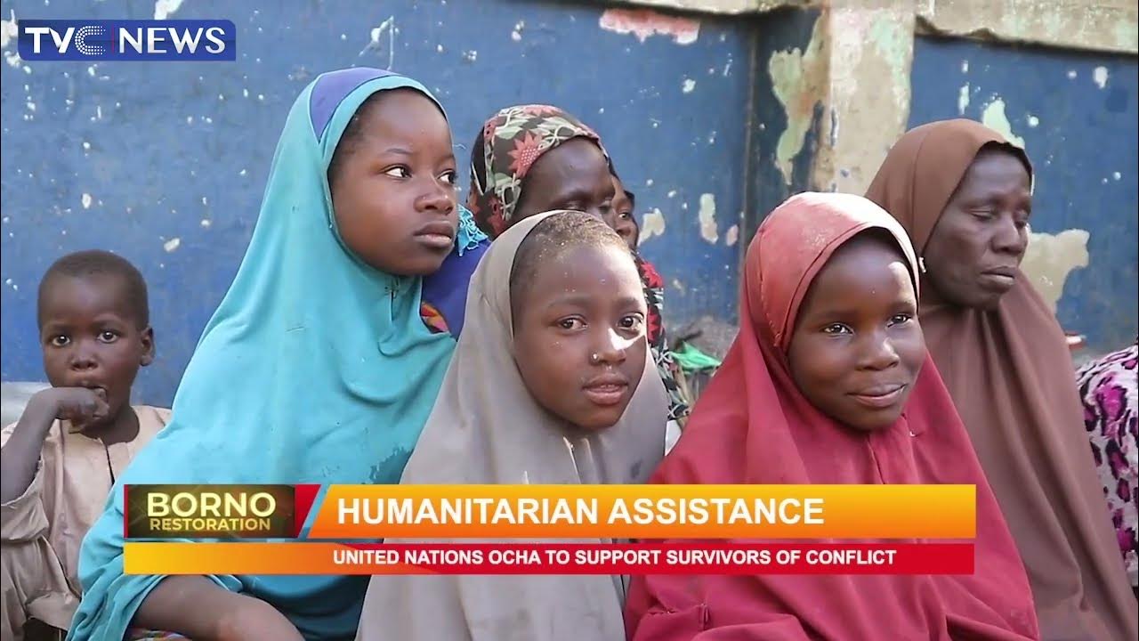 Borno Restoration: Assessment Of Governor Zulum’s Efforts At Empowering Vulnerable