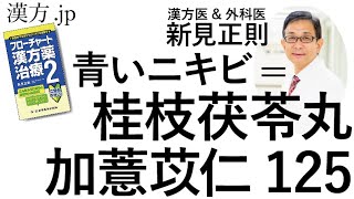 漢方 Jp 青いニキビ 桂枝茯苓丸加薏苡仁125 新見正則が解説 Youtube