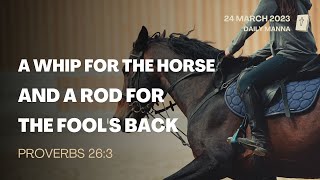 Proverbs 26:3 | A Whip For The Horse And A Rod For The Fool's Back | Daily Manna