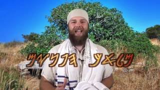 The Nazarene יהושׁוע הנצרי Yahuwshuwa HaNatsri