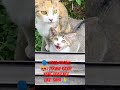 POV 😻: janji gak sedih lagi