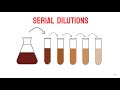 Serial dilutions  microbiology