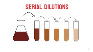 Serial Dilutions | Microbiology