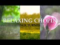 Relaxing chopin nocturnes  calming piano rain sound