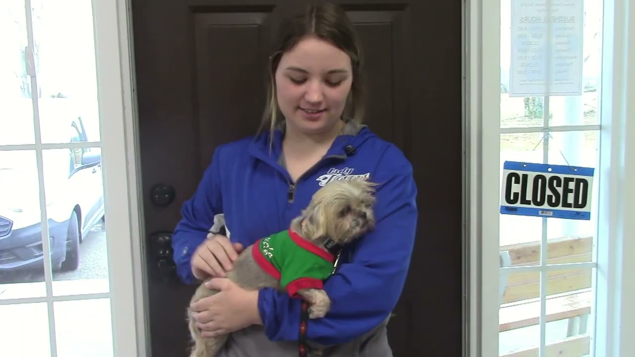 Brown County Humane Shelter