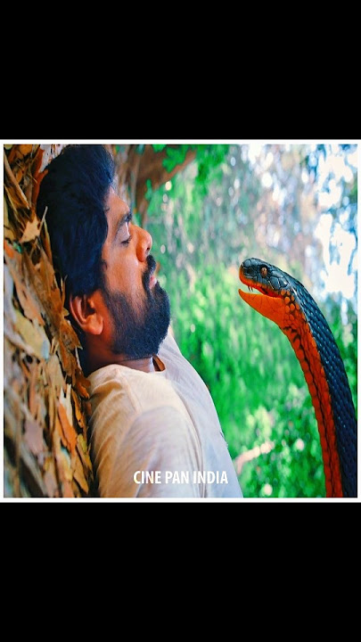 💥man Trapped in the forest🔥snake attack on the boy💯boy save his life from snake😡boy Attitude Status