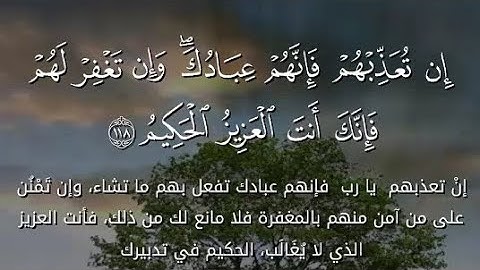 تلاوة خاشعة ومؤثرة من سورة المائدة - إن تعذبهم فإنهم عبادك