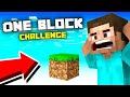 Minecraft but its only one block  minecraft one block series 1