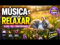 🐰 Música para Relaxar 🌙 Sono Profundo, Paz Interior e Alívio do Estresse | Música Calmante