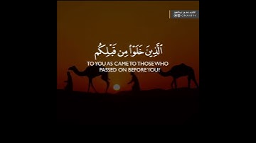 تلاوه نديه القارئ عمر عبد العزيز
