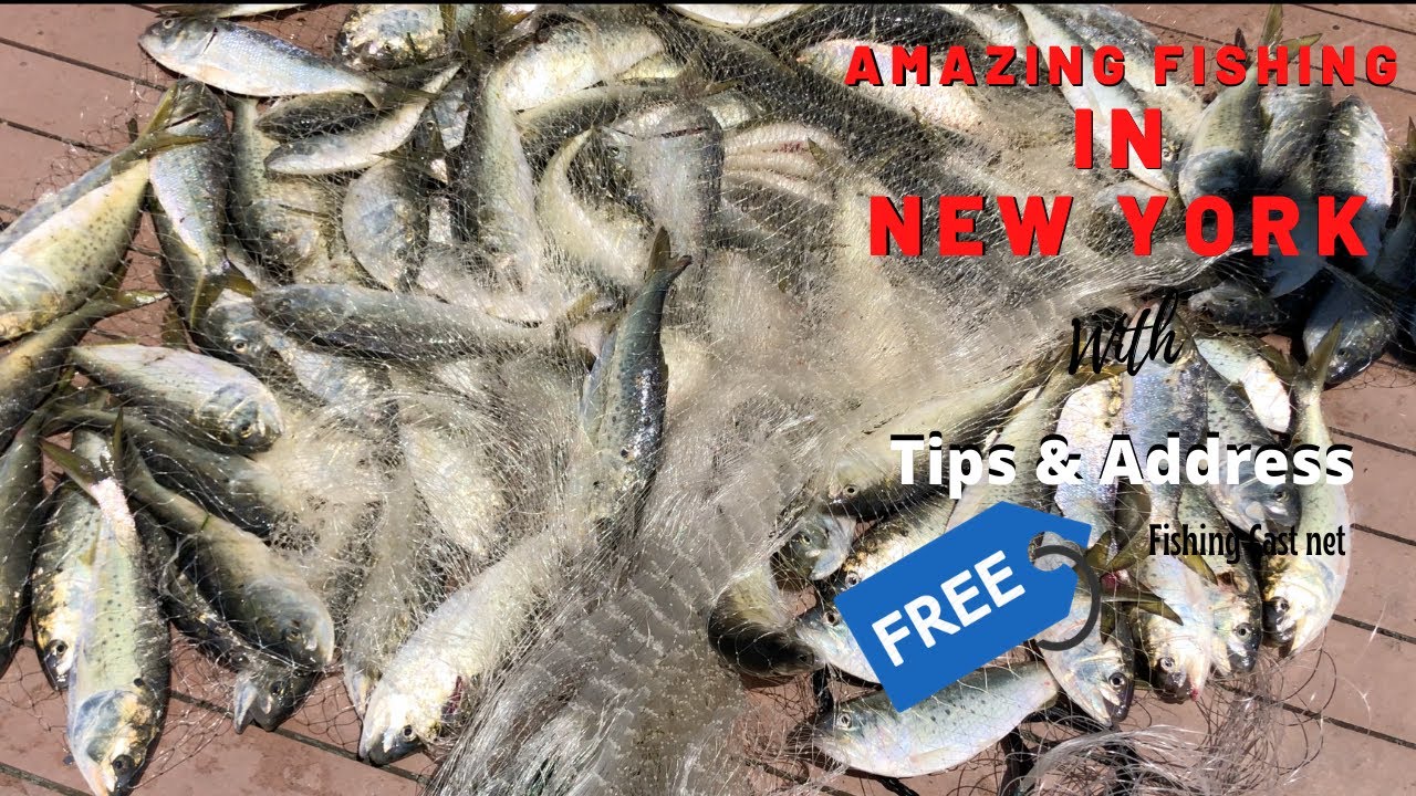 Amazing Fishing in New York with Tips Address - YouTube